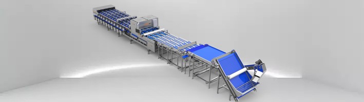 เครื่องคัดเเยกสีวันที่