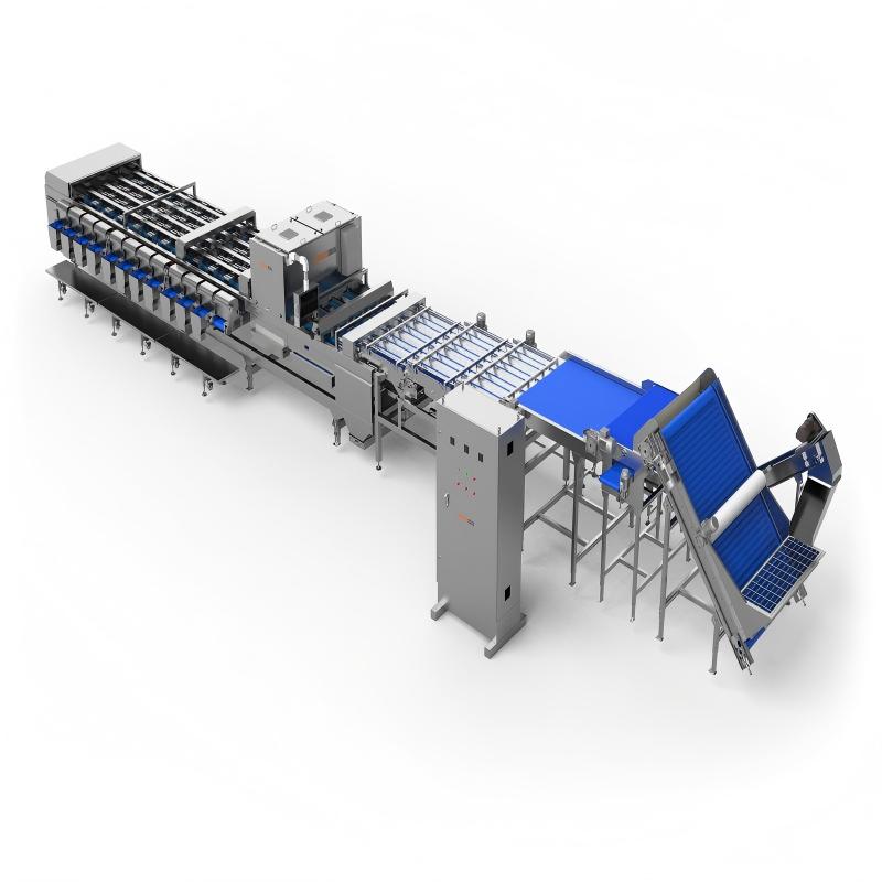 From Manual to Automatic: Watch How This Date Sorter Saves You 80% Labor Cost
